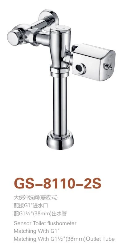GS-8110-2S