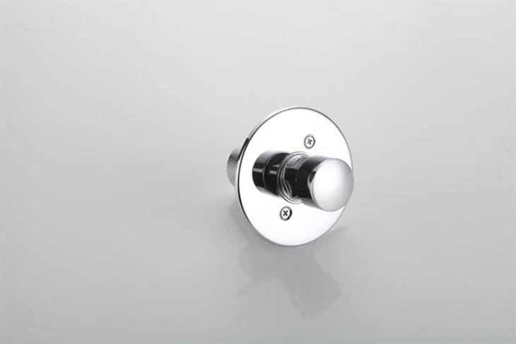 Time Delay Shower Valve Time Delay Shower Valve