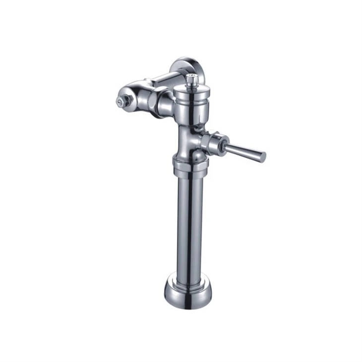 Flushometer Valve