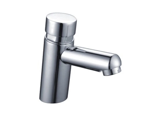 Time Delay Faucet